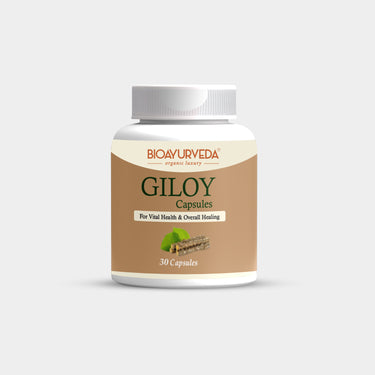GILOY CAPSULE